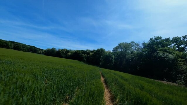 FPV DRONE SHOT - Flight close to the ground and crash in grass