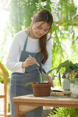 Young woman caring for trees in a greenhouse, planting trees, plant care equipment, planting greenhouses.