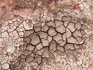 dry cracked ground in summer