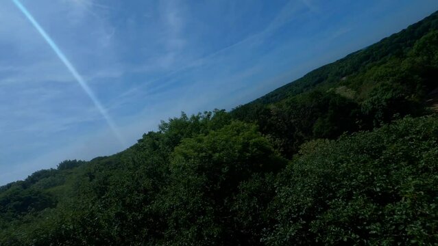 FPV DRONE SHOT : Flight above trees and forest