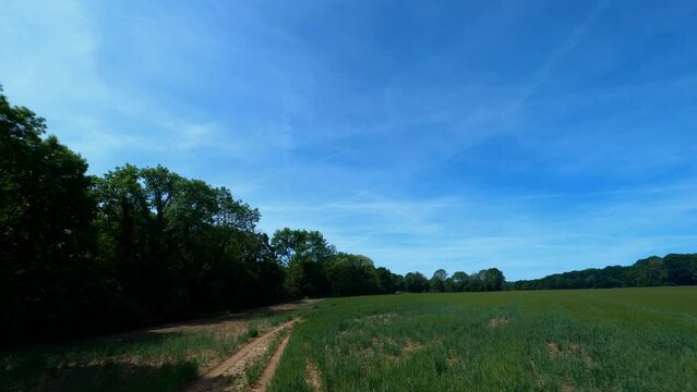 FPV DRONE SHOT - Flight close to the field