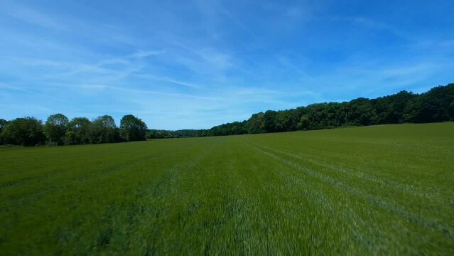 FPV DRONE SHOT - Flight close to the green field