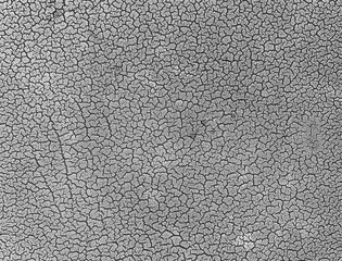 Light Gray Background with Dense Cracks and Creepy Texture（細かい亀裂がびっしり入った明るいグレーの気持ちの悪い背景）