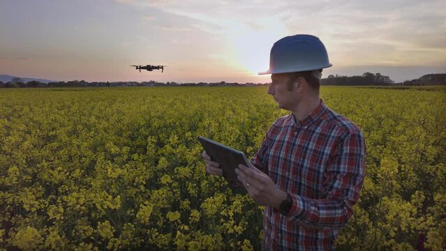 Man With Tablet Computer Operates Drone Flying Over Rapeseed Fields In Full Bloom. - medium shot