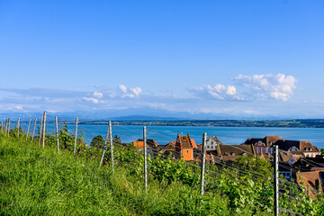 Meersburg, Weinberge, Aussichtspunkt, Oberstadt, Obertor, Altstadt, Altstadthäuser, Bodensee,...