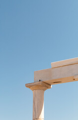 Sparrow perching on a column of the Temple of Demeter near Sangri village on Naxos Island, Greece.