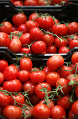 buying tomatoes at the market