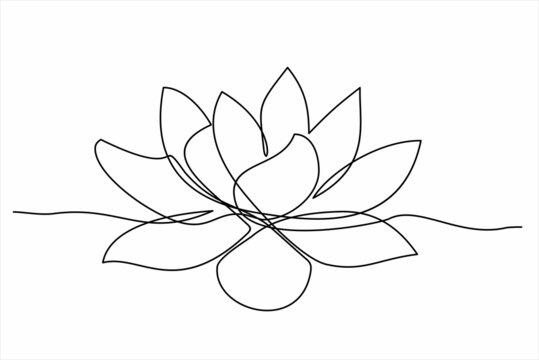 Lotus flower continuous line drawing
