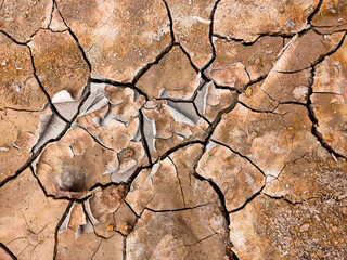 dry cracked ground in summer