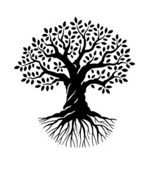 Olive tree. Black and white vector illustration