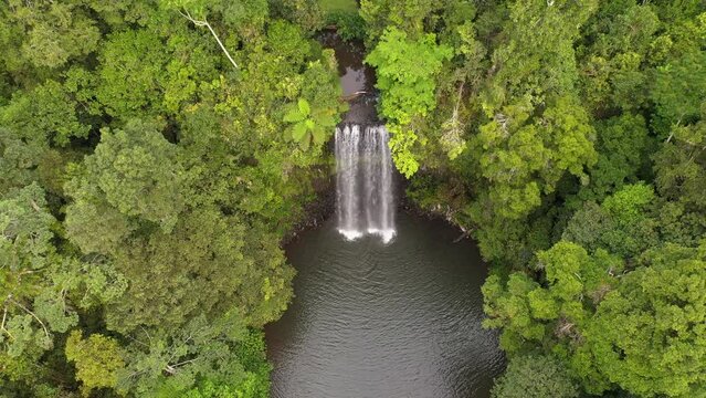 Millaa Millaa Falls waterfall top down aerial with rainforest, Atherton Tablelands, Queensland, Australia