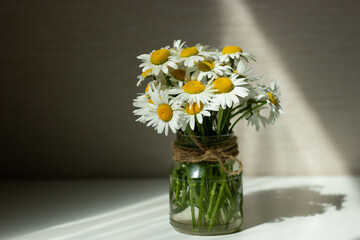 Summer still life scene with wild daisy chamomile flowers. Daisy chamomile flowers in glass jar on wight wooden table.