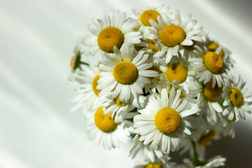 bunch of daisy flower on wooden background