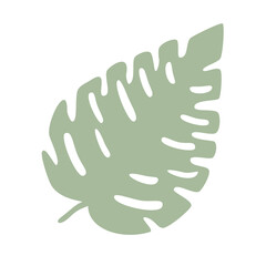 Green palm green tropic leaf silhouettes isolated on white background. Vector. Leaves in modern flat style