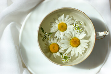 Summer refreshing drinks, infused herbal water, iced tea. White cup with chamomile in water. Copy space top view