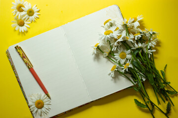 spring bouquet of white daisies with clean notebook to write on yellow backround. Copy space