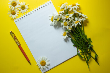 spring bouquet of white daisies with clean notebook to write on yellow backround. Copy space