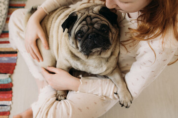 Pug sits in the arms of his little owner
