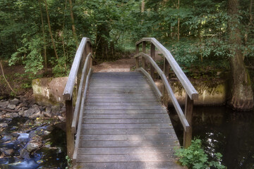 Wald Bach Brücke