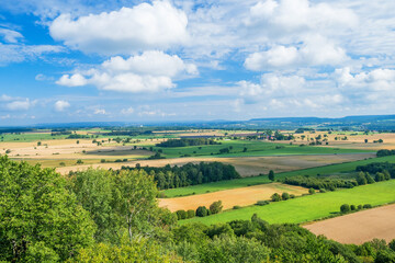 Fototapeta na wymiar Agriculture landscape view with the horizon