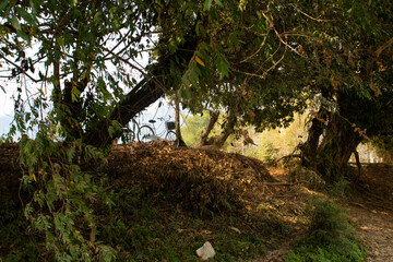 A beautiful panoramic view of Vang Vieng city in Laos.