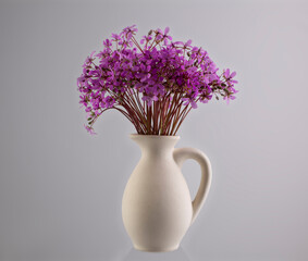 Erodium cicutarium (redstem stork's bill or pinweed) in a ceramic vase on a gray background