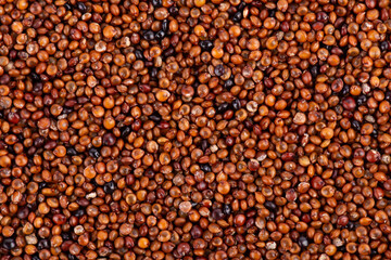 Canihua grains background. Qaniwa, qanawa, qanawi or kaniwa seeds. Dry grains of chenopodium pallidicaule. Top view.