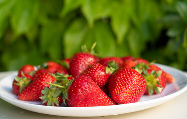 Strawberries on a plate on a table against a wall with green ivy
