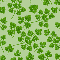 Fototapeta na wymiar Seamless pattern. Pattern with parsley leaves. A pattern with spices.Green pattern for the print. Vector illustration