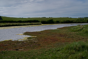 Multi-colored river bank. Colorful shore of the lake. There is no one in the vicinity of this beautiful country.