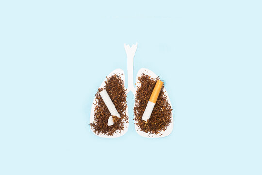 Pulmones con un cigarrillo y tabaco sobre un fondo celeste liso y aislado. Vista superior y de cerca. Copy space: Concepto: Salud