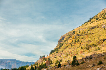 Cliff in a valley with trees and pines. Ordesa in Pyrenees