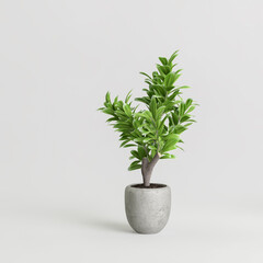 3d illustration of plant in concrete potted isolated on white background