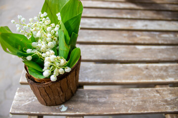 lily of the valley flowers in cute little pot on wooden table outside, in a public park.cappuccino drink and white flowers, people in the background. sunny spring,summer day. leisure concept