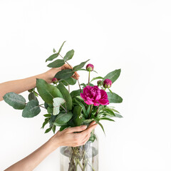 Female florist hands making beautiful bouquet using pink peonies and green eucalyptus branches in glass vase on white isolated background. Feminine minimalist greeting card template with copy space.