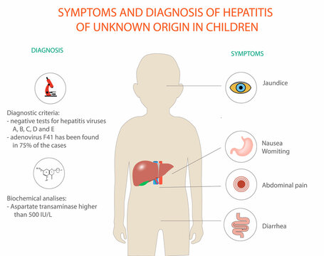 symptoms and diagnosis of hepatitis in children 2022, vector, medical diagram