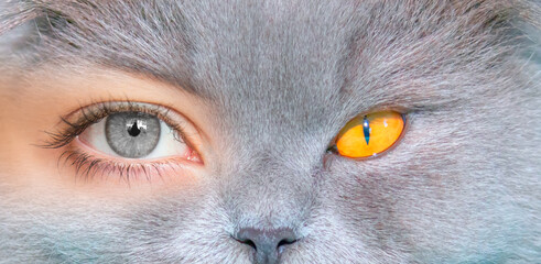 A young girl with beautiful gray eyes with a gray cat face