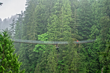 Red jacket in the middle of the misty forest of Capilano, Vancouver, BC