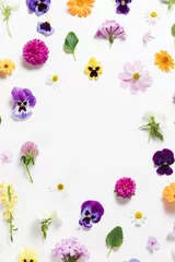 Fotobehang Spring and summer flower composition pattern on white background. Border frame, copy space. Festive flower concept with garden pansy, camomile, colorful buds, branches and leaves. Flat lay, top view. © magic_cinema