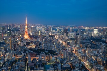 The Tokyo Tower and the streets at dusk