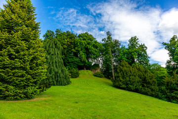 Fototapeta na wymiar Sommerspaziergang im schönen Park in Altenstein bei Bad Liebenstein - Thüringen - Deutschland