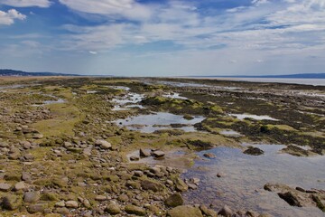Beach rock pools.