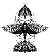 Moth, butterfly, Silhouette, Magic butterfly, vector, tattoo style, Heavenly art.
