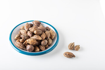 Terminalia Chebula - Yellow Chebulic Myrobalan - Harde Haritaki Fudco