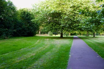 Fototapeta na wymiar Path in the park on a spring evening.