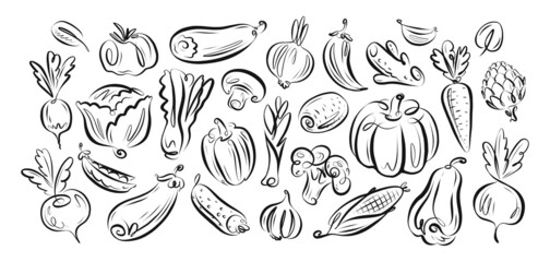 Set farm vegetables vector. Vegan organic food collection hand drawn in linear decorative style