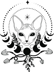 Black cat. Vector. Mystical cat. Flat style, Magic. Moon, sun, stars, flowers.