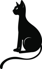 Black cat. Vector. Mystical cat. Flat style, Magic. Moon, sun, stars, flowers.
