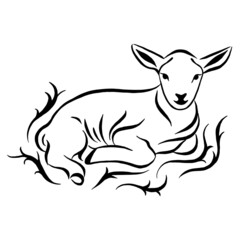 Illustration of lying lamb surrounded by ornament. Sketch style farm animal. Sheep vector art. Linear drawing.