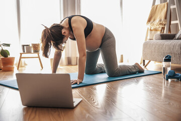 Pegnant woman doing exercise at home - obrazy, fototapety, plakaty